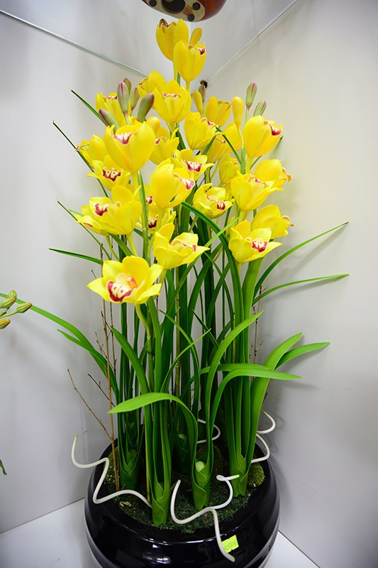 Muôn vẻ hoa ... đất chơi Tết ảnh 3